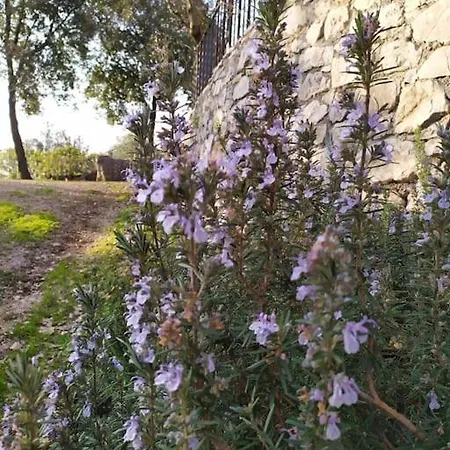 La Ripa Di Campo Soriano Holiday home Sonnino